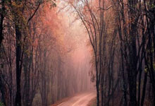 人人体育直播赛事靠谱吗?能满足球迷观赛需求吗?