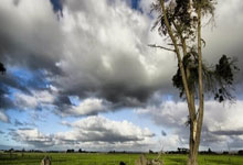 为什么梅西一到世界杯就爆发？